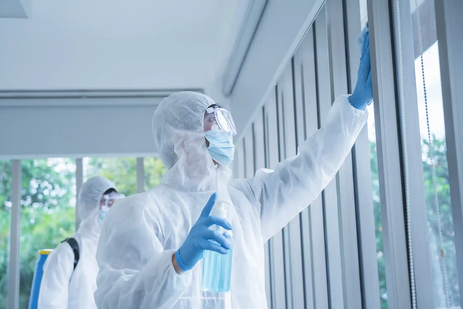 Disinfecting windows.